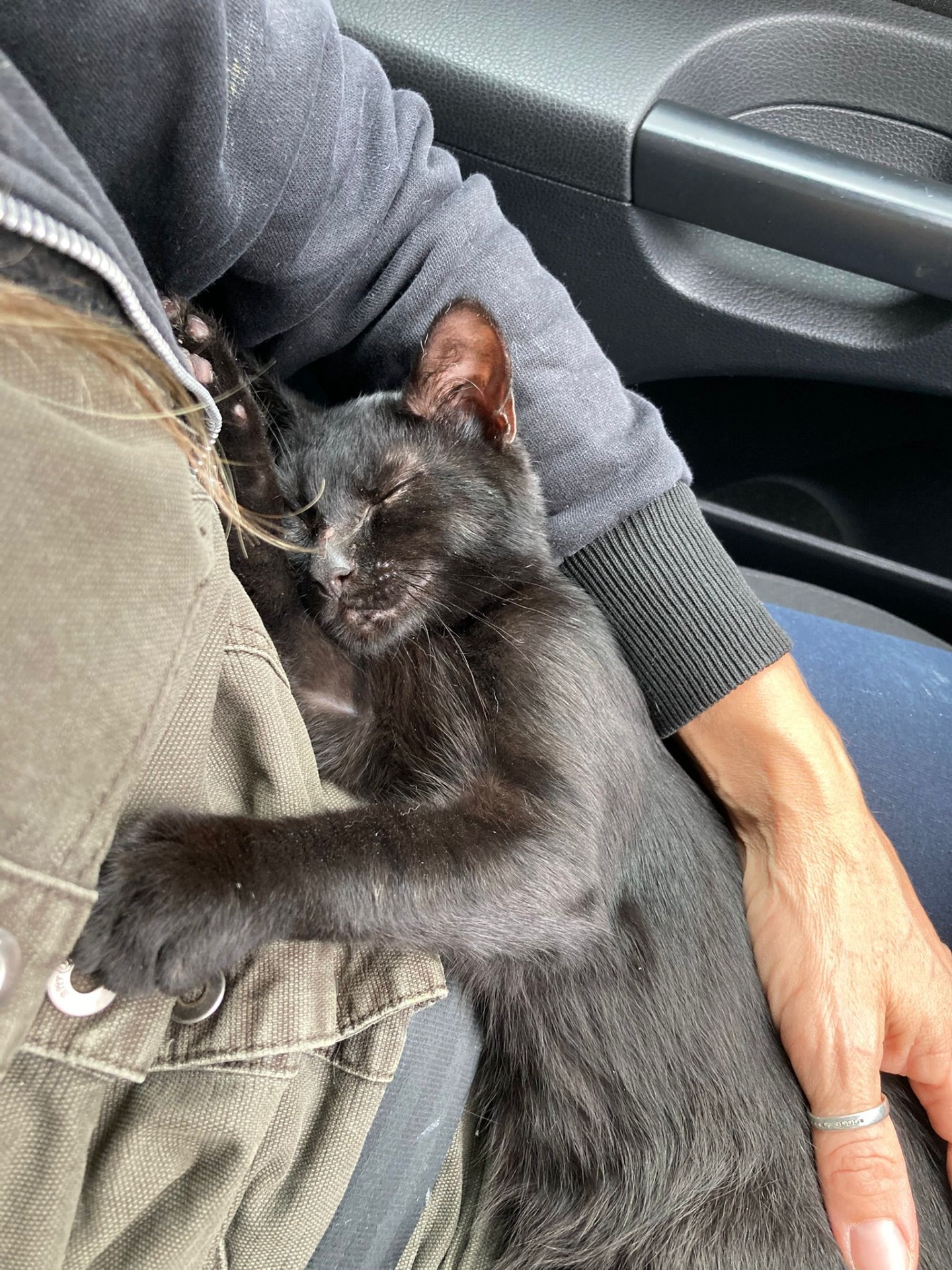 Piškotek - měl roštěp horního patra, následně těžkou epilepsii, zemřel v 5 měsících