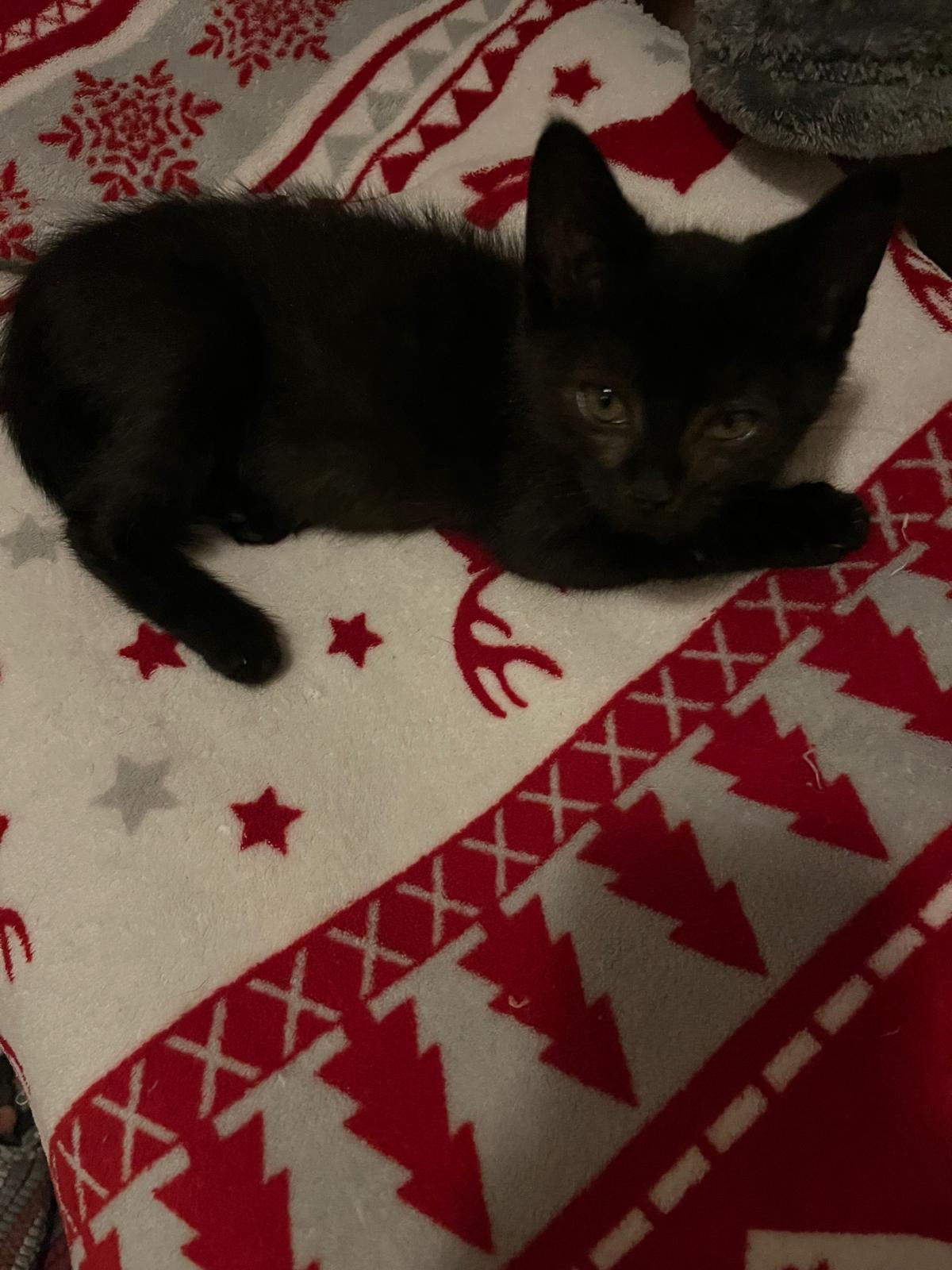 Lojzíček, brácha Marušky - také adoptovaný