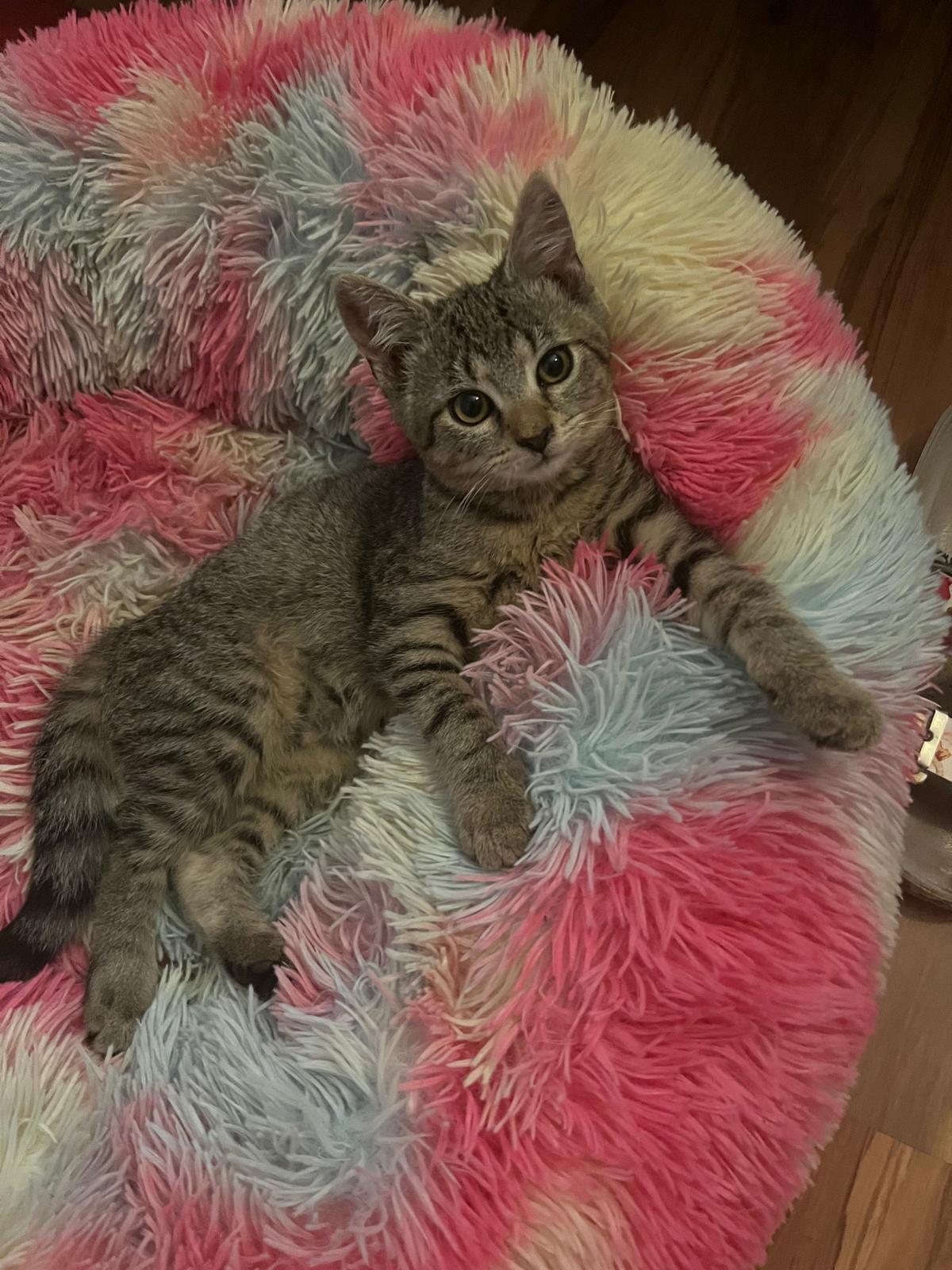 Maruška - sestřička Lojzíčka, adoptovaná